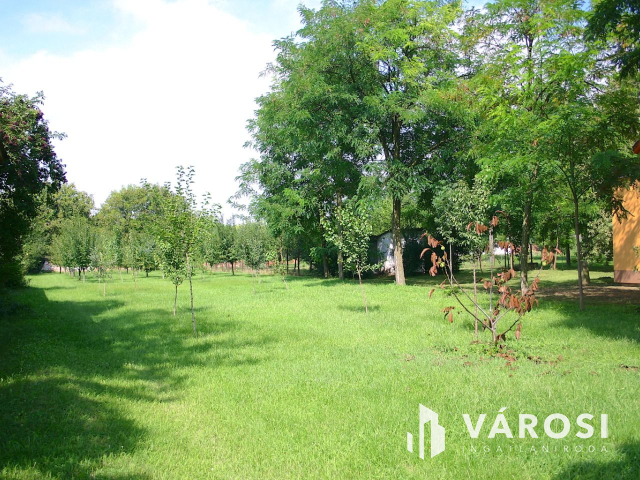 Ha vállalkozást szeretne elindítani,