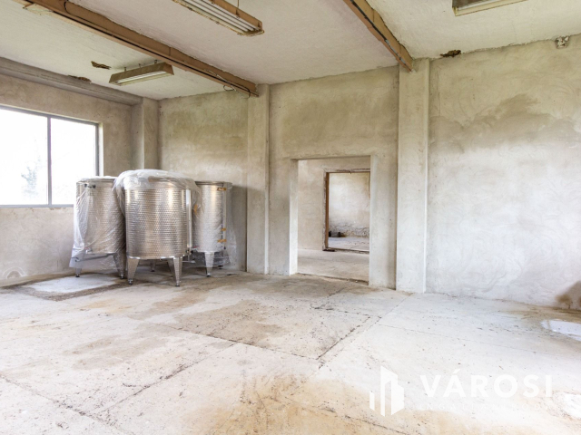 Derekegyházi ipari terület, vállalkozás eladó.