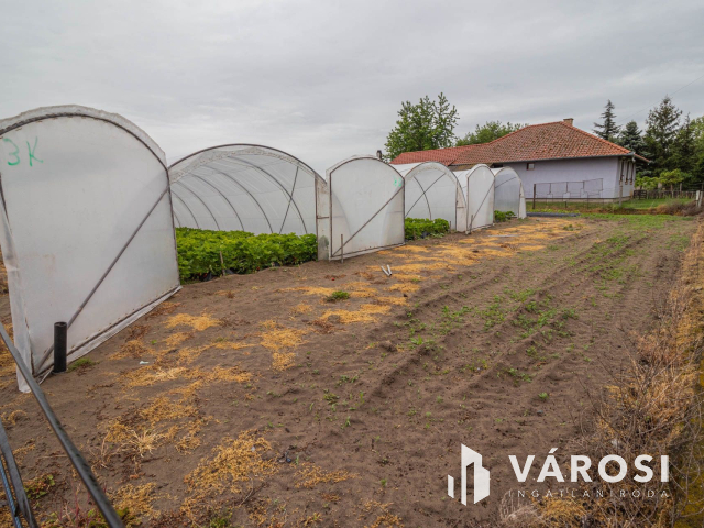 Eper termesztésre kiválóan alkalmas földterület