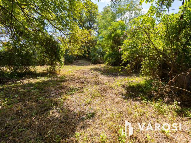 Pilismaróton, belterületi telek, most akciós áron eladó