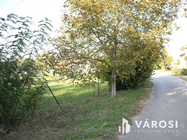 Ha kell a nagy terület!