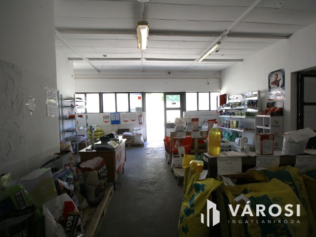 Kisteleken, központi üzlethelyiséget kínálok