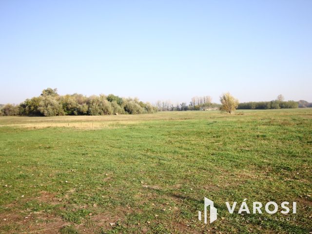 Balástyai tanyáknál