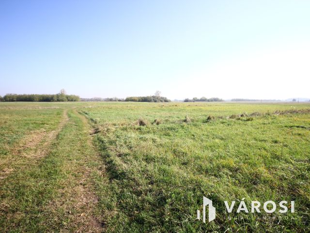 Balástyai tanyáknál