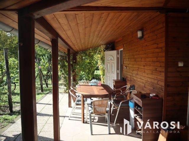 Szatymazi családi ház erdővel!