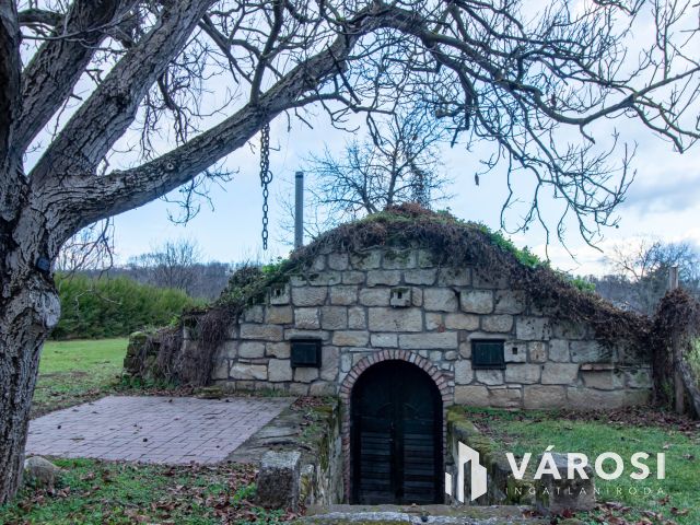 Kiemelkedő befektetési lehetőség Páty központjában!