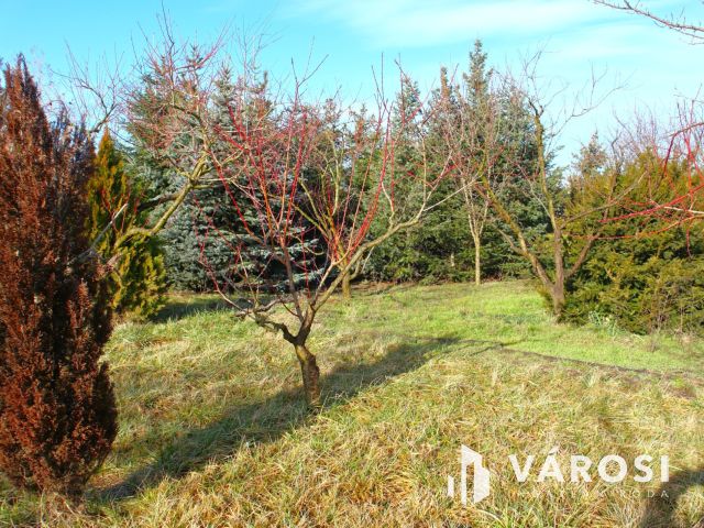 Egy lakóingatlan + egy gyártó üzem, értékes ipari területen