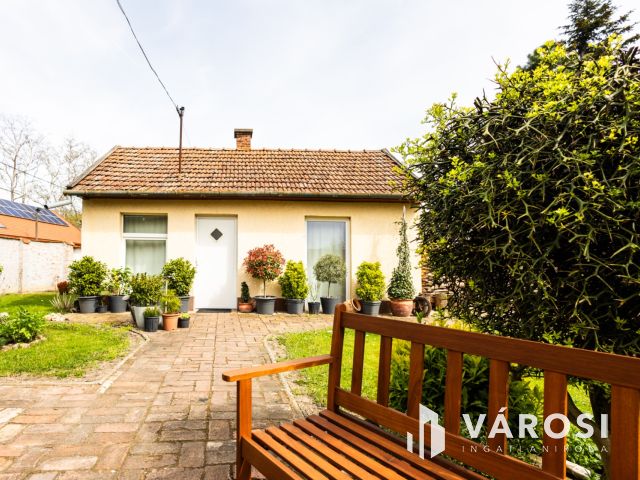 Praktikus elrendezésű ház parkosított kerttel a belvárosban