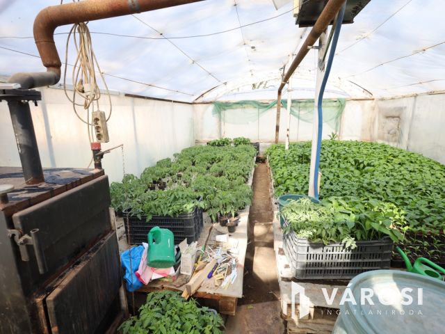 Tanya gazdálkodásra alkalmas területtel