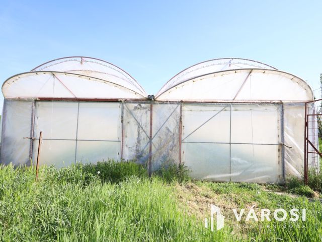 Tanya gazdálkodásra alkalmas területtel