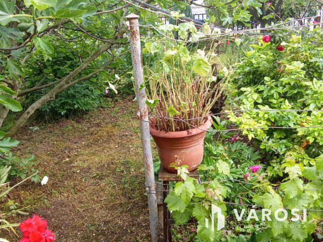 2,5 szobás, ikerházfél, telekkel, garázzsal, melléképülettel