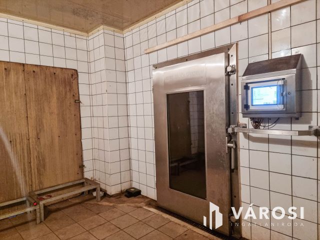 Vágóhíd és húsfeldolgozó üzem