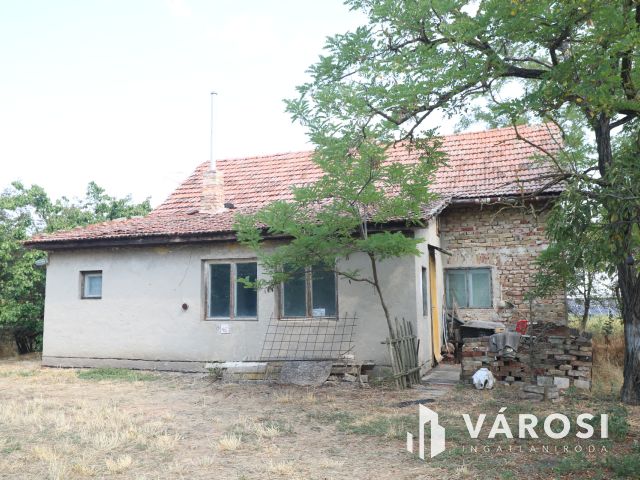 Sándorfalvi úton lévő tanya, közel 100 000 nm-en.