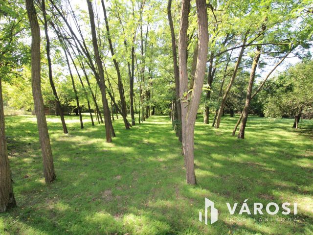 Nyaraló Gyula Szanazugban.