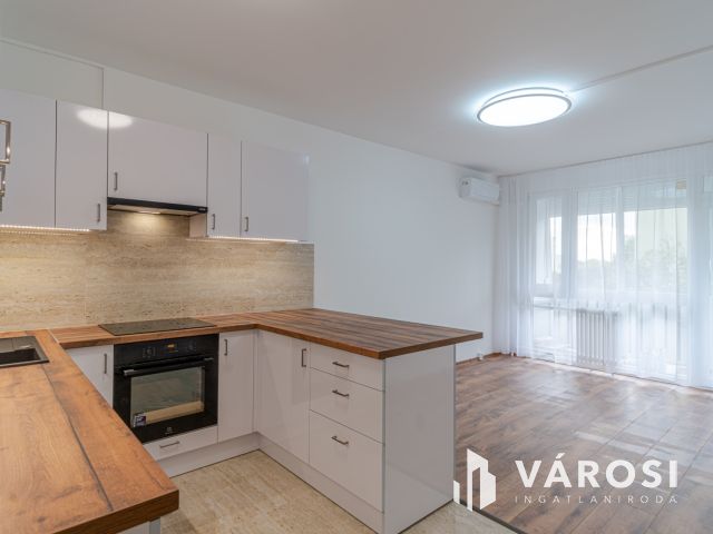 TELJESEN FELÚJÍTOTT LAKÁS AMERIKAI KONYHÁVAL TARJÁNBAN