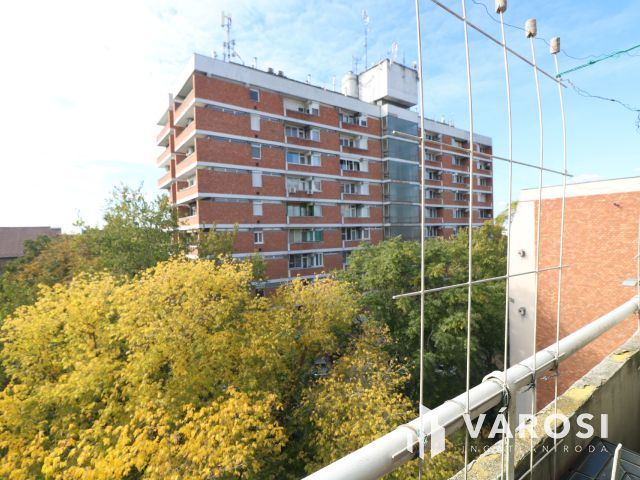 A TIK közvetlen szomszédságában !