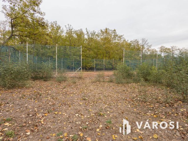 Vadkerti tó mellett teljes a nyugalom