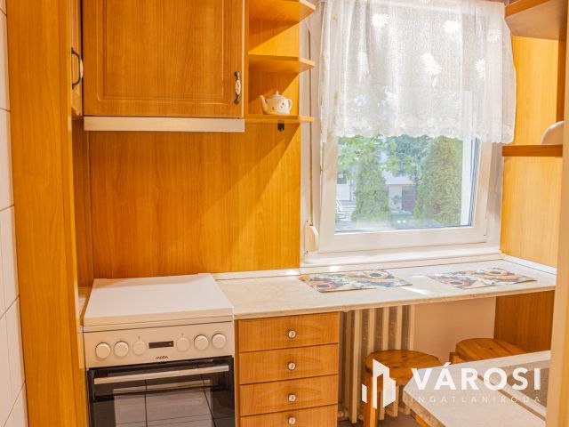 Napfényes 2 szobás  felújított a Tiszánál