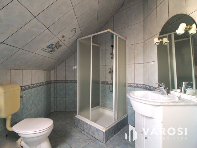 Zöldövezeti panoráma szaunával,konditeremmel,dupla garázzsal