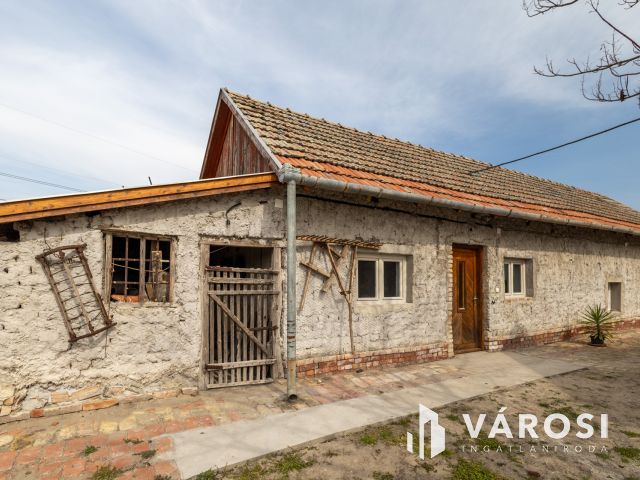 Ahol a munka meghozza gyümölcsét – szó szerint