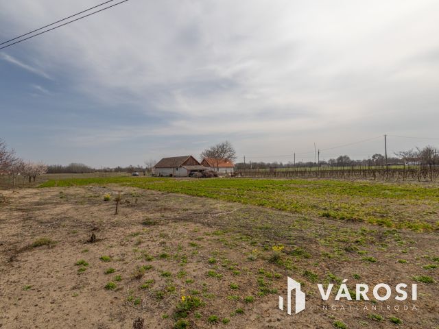 Ahol a munka meghozza gyümölcsét – szó szerint