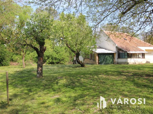 Csend, béke, madárfütty