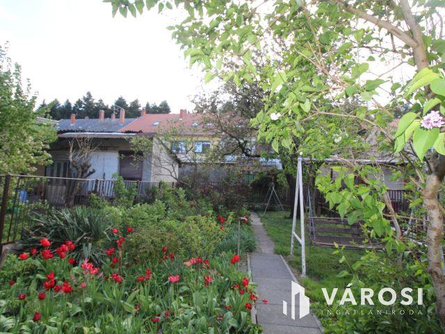 CSaládi otthon, Szombathely kedvelt részén